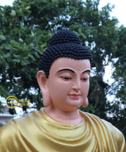 tuong phat bon su thich ca mau ni thien dinh nhua composite dieu khac tran gia 6 1