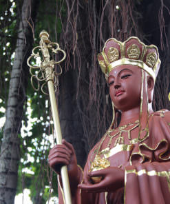 tuong phat dia tang vuong bo tat dung dai sen nhua composite dieu khac tran gia
