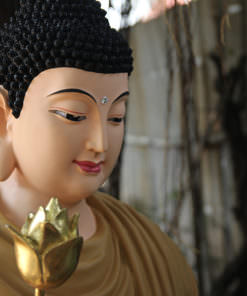 tuong phat bon su thich ca 12