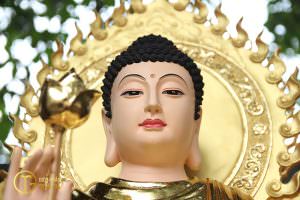 hinh anh phat thich ca mau ni dep nhat 19