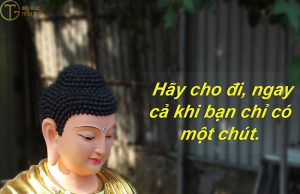 anh phat day co chu y nghia 5