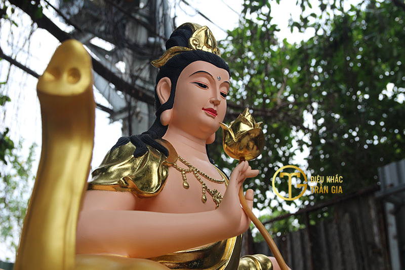 hinh anh bo tat dep nhat 33