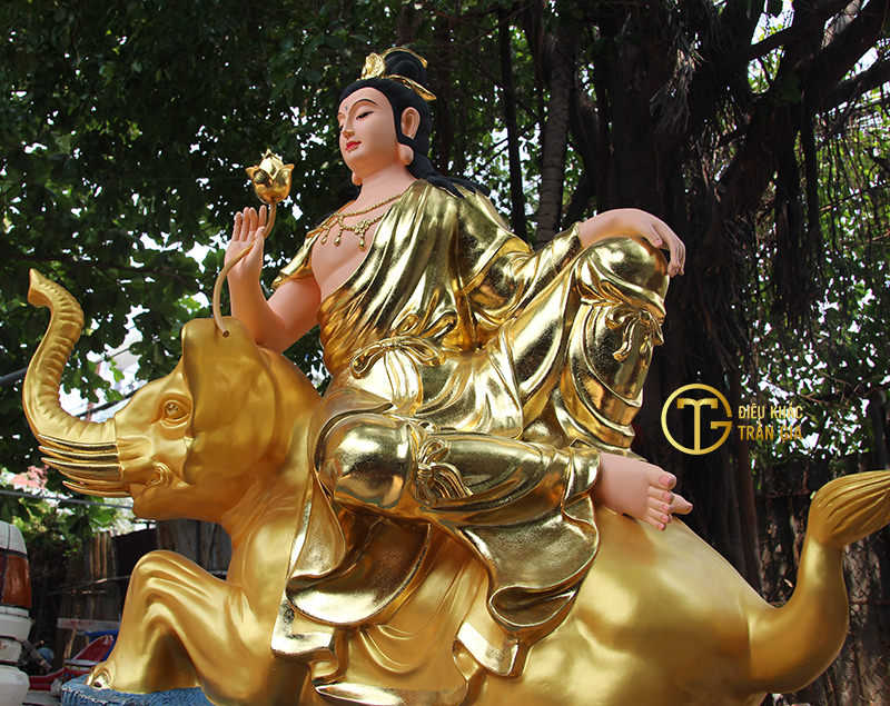 hinh anh bo tat dep nhat 34