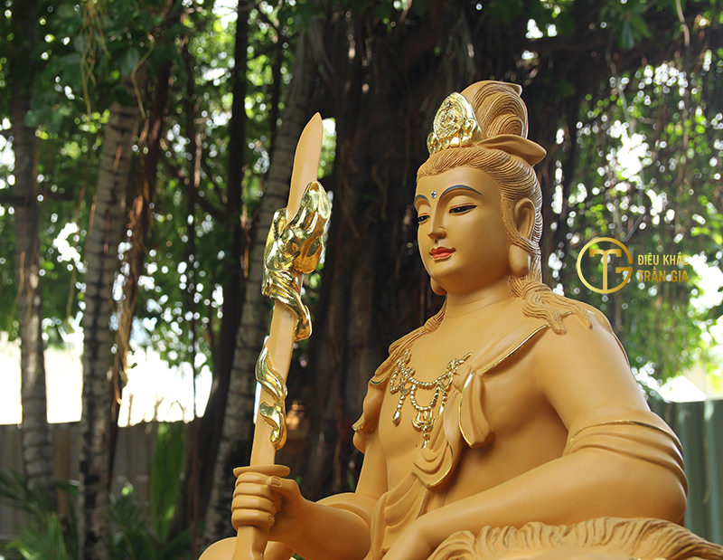 hinh anh phat pho hien bo tat van thu bo tat dep nhat 5
