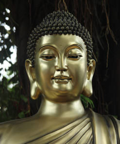 hinh anh tuong phat thich ca dep nhat 2