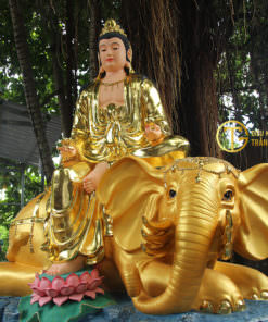 hinh anh tuong phat van thu su loi pho hien bo tat dep nhat 10