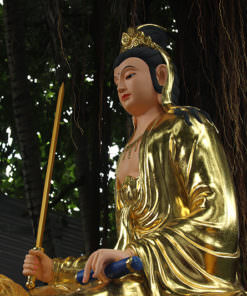 hinh anh tuong phat van thu su loi pho hien bo tat dep nhat 2 1