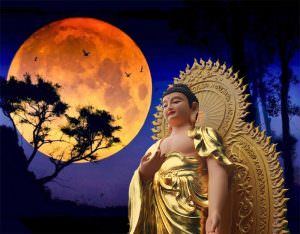 hinh anh tuong duc phat adida dep nhat bang go ngoc bich nhua composite da dong 10