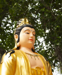 mua tuong phat pho hien bo tat dep nhat 13