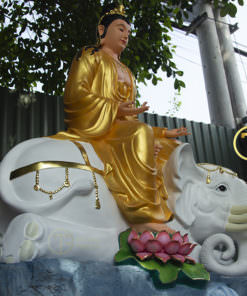 mua tuong phat pho hien bo tat dep nhat 7 1