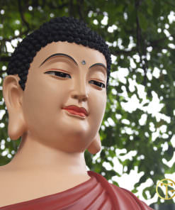 noi ban tuong phat tphcm 10
