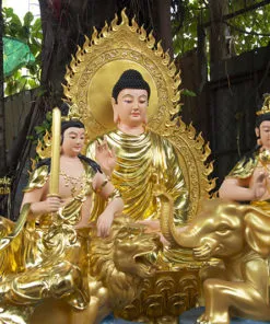 hinh anh bo tuong hoa nghiem tam thanh nhua composite dep 6
