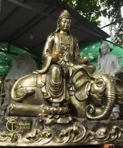 hinh anh tuong dong pho hien bo tat dep nhat 6