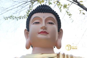 hinh anh nen tuong duc phat to nhu lai dep nhat 17