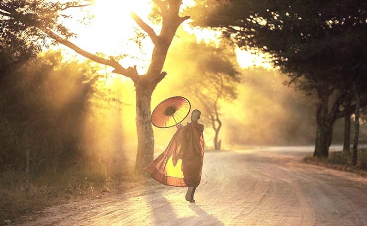 hanh bo thi 9