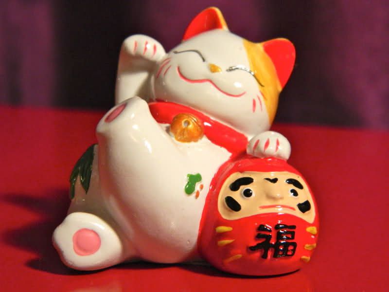 hinh anh meo than tai cuoi daruma dep 1