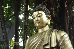 hinh anh tuong phat bang dong dep nhat lon nhat viet nam 12