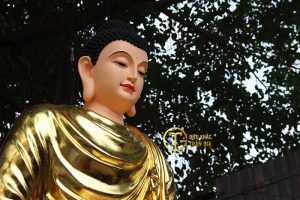 tuong phat bon su thich ca mau ni nhua poly composite dat vang 3