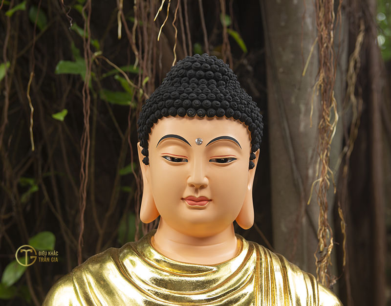 hinh anh tuong duc phat bon su ngoi thien dinh dep 9