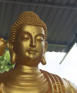 hinh anh tuong phat bon su thich ca dep nhat 1