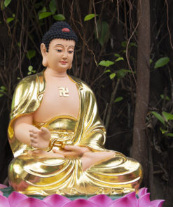 hinh anh tuong duoc su luu ly quang vuong phat dep 18
