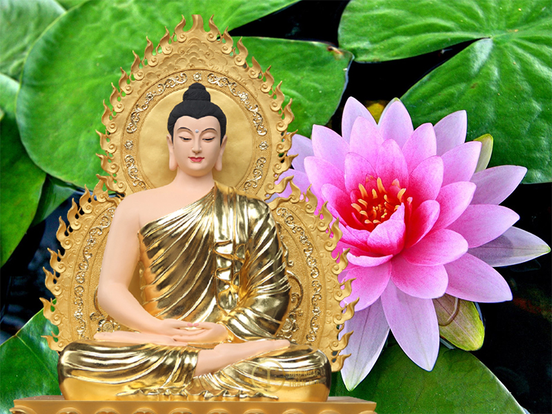 hinh anh phat to nhu lai dep nhat 24