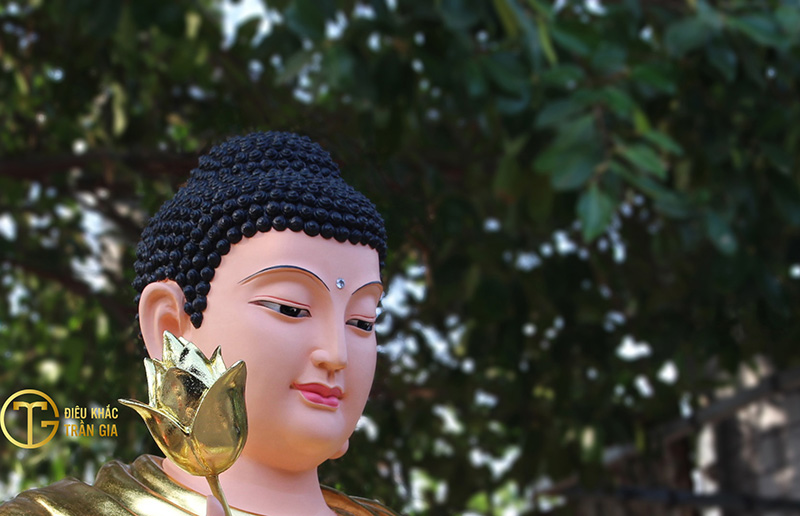 hinh anh phat to nhu lai dep nhat 49