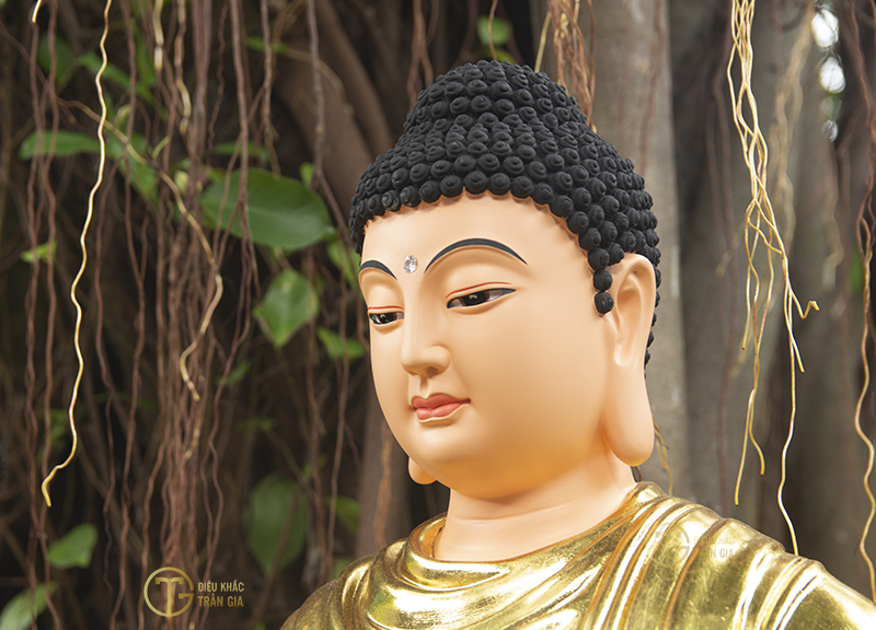 hinh anh phat to nhu lai dep nhat 55