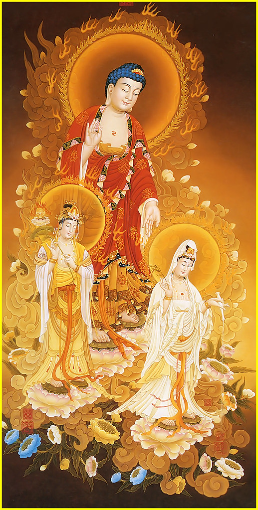 tay phuong tam thanh phat 11
