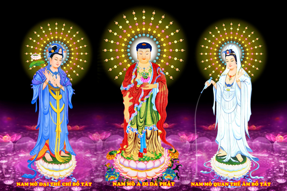 tay phuong tam thanh phat 7