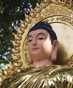 tuong duc phat bon su thich ca 4