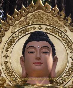 tuong duc phat bon su thich ca 5