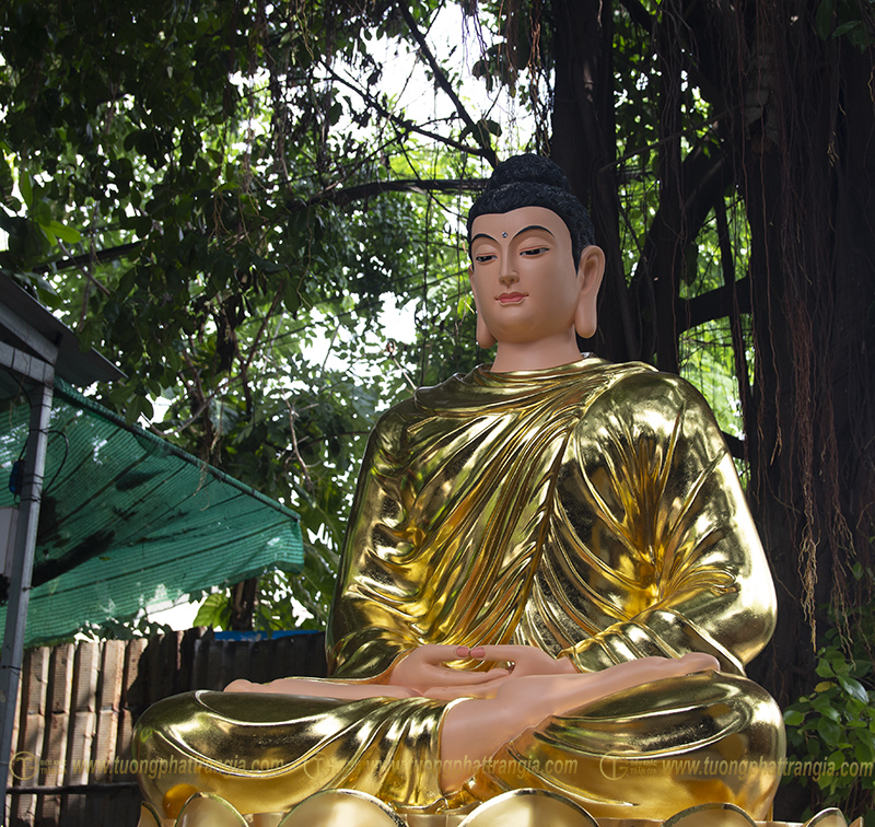 tuong phat bon su thich ca mau ni 3