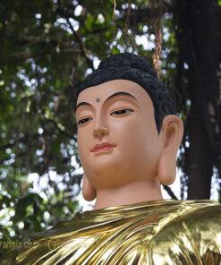 tuong phat bon su thich ca mau ni 4