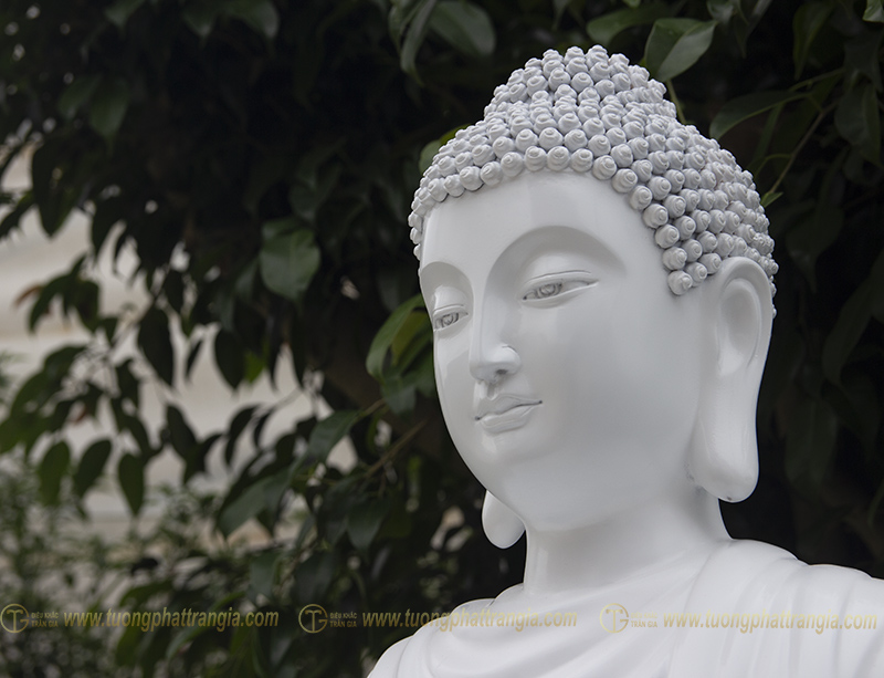 tuong phat thich ca ngoi dai sen 12 1
