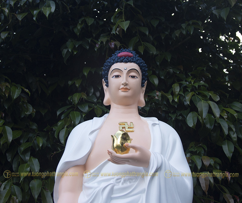 tuong phat a di da dung 5