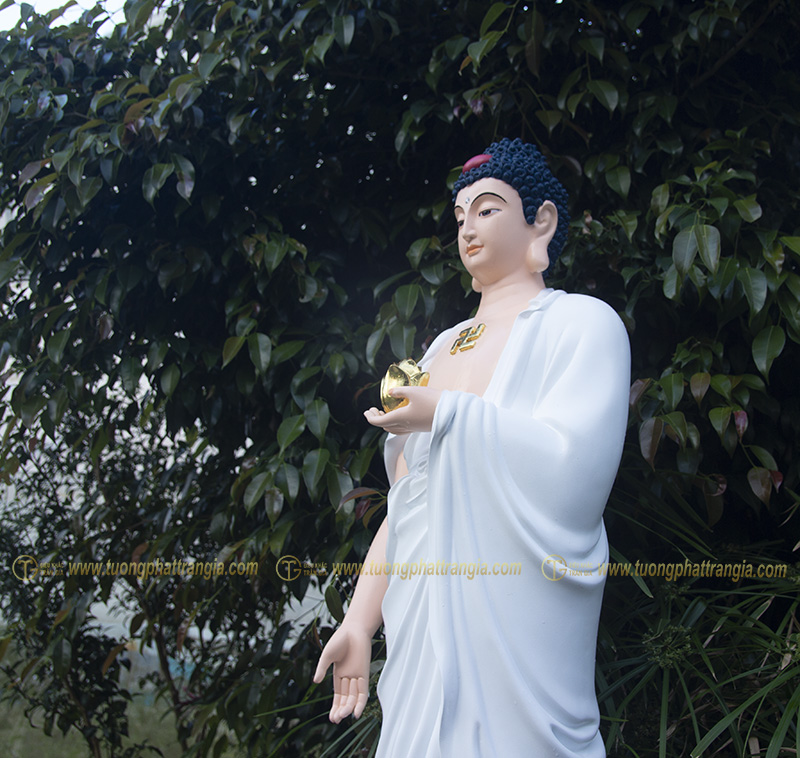 tuong phat a di da dung 9