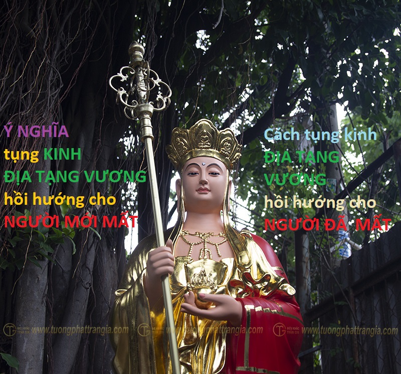 kinh dia tang hoi huong cho nguoi moi mat 4