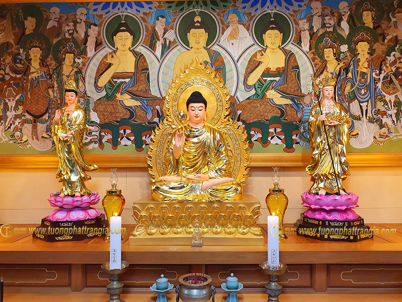 tam thanh phat 1