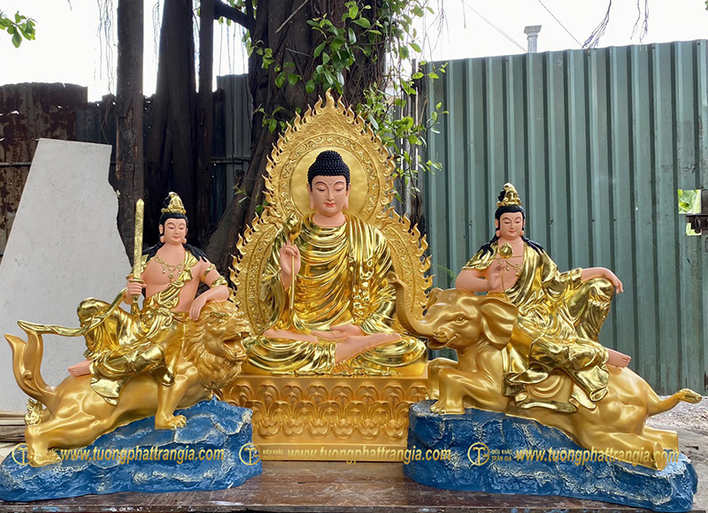 tam thanh phat 4