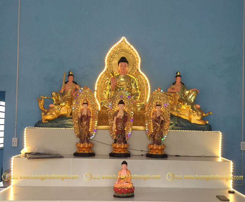 tam thanh phat 5
