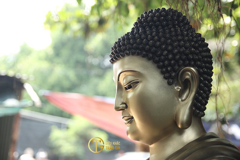 tuong phat thich ca mau ni bang dong 70