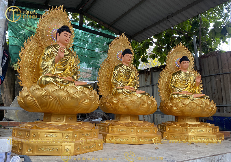 tuong tam the phat bang dong 10