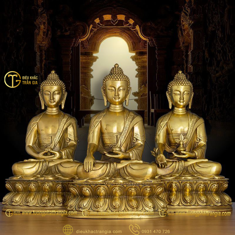 tuong tam the phat bang dong 11