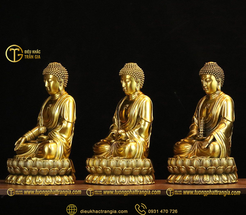 tuong tam the phat bang dong 12