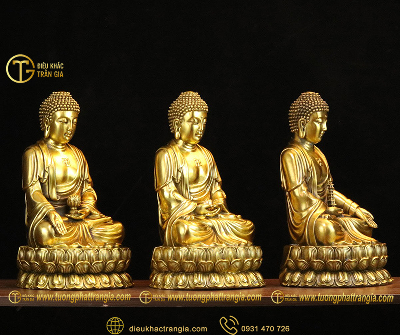 tuong tam the phat bang dong 13