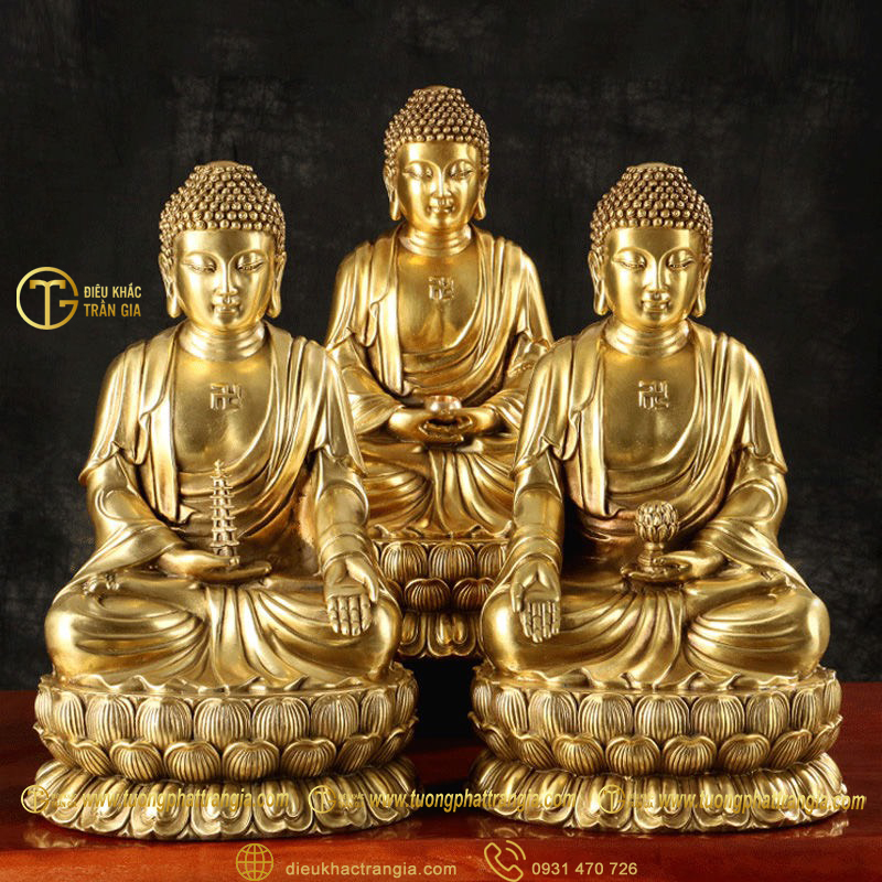 tuong tam the phat bang dong 14