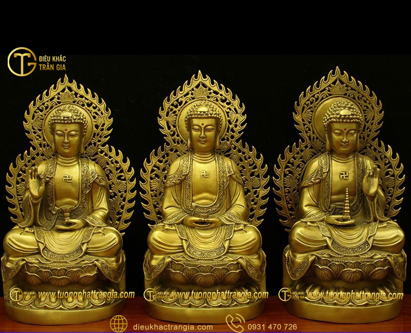 tuong tam the phat bang dong 16