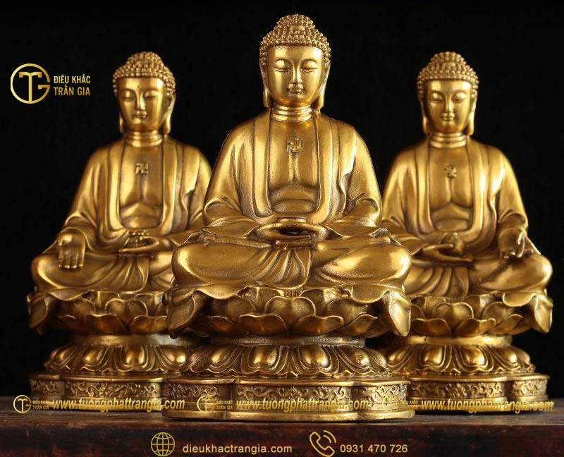 tuong tam the phat bang dong 2