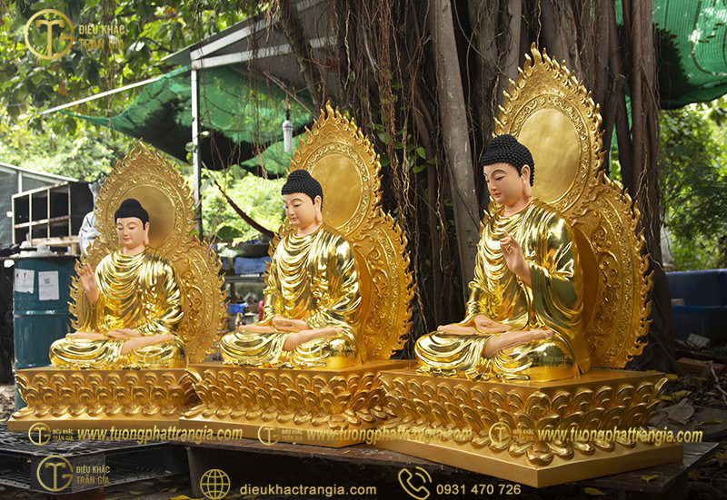 tuong tam the phat bang dong 5